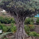 Floris's Los Cristianos (Tenerife)